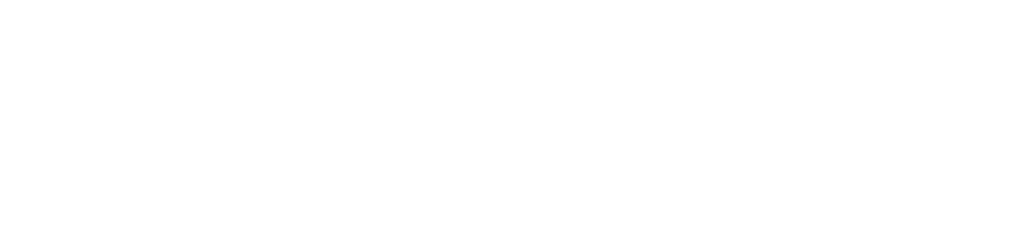 MNP Capital logo, link to homepage