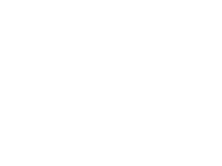 mnp-citadel-logo